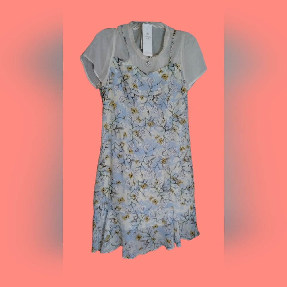 Floral Print Dress with Sheer Sleeves